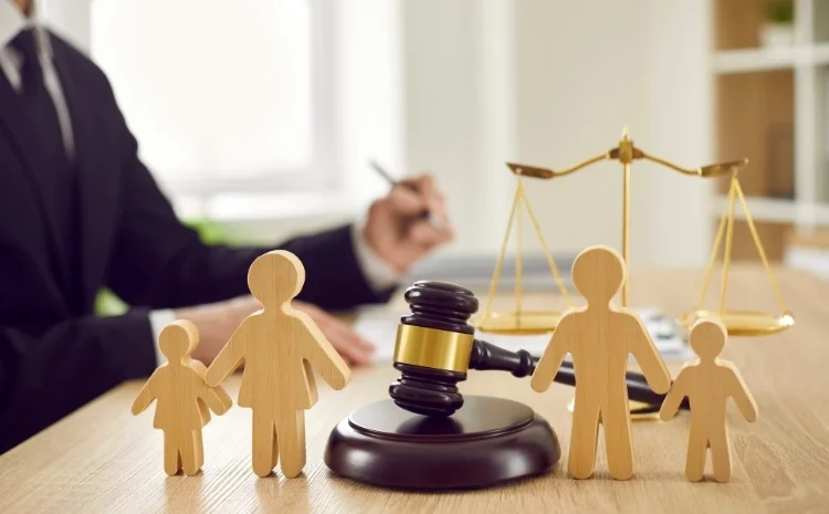 NAFAKANIN ARTIRILMASI DAVASI